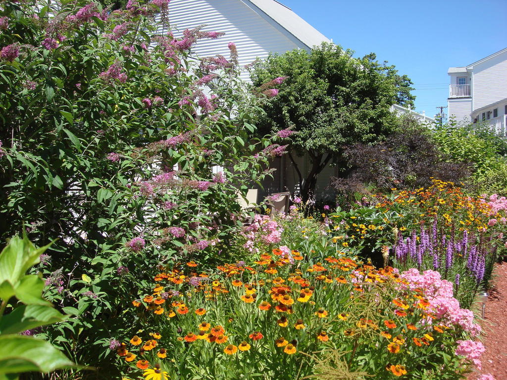 Pink Blossoms Resort Ogunquit Eksteriør bilde